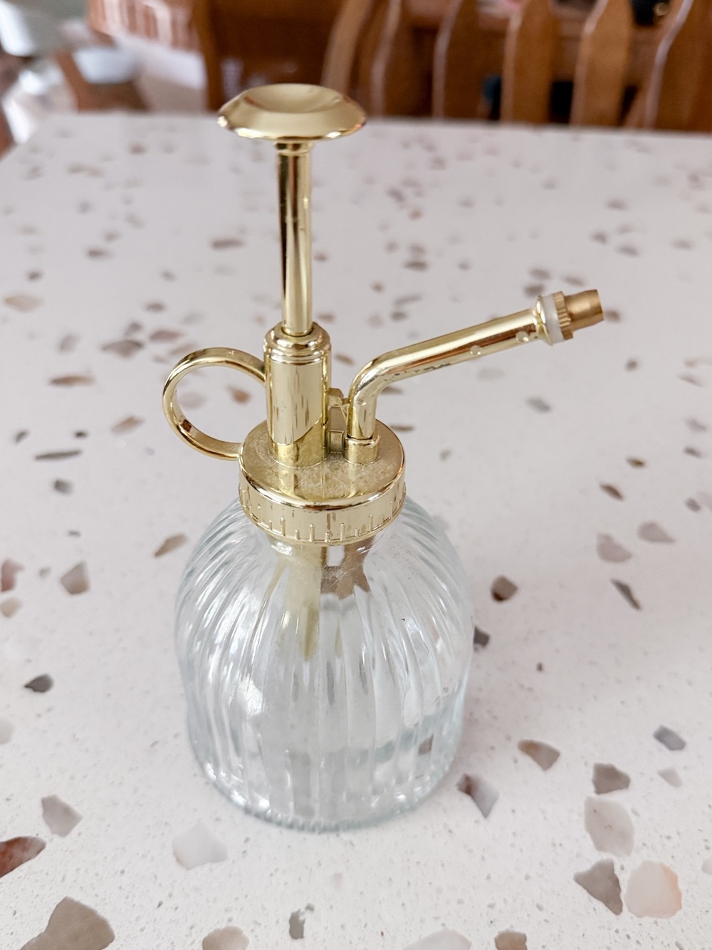 Glass Plant Mister with Gold-Tone Pump